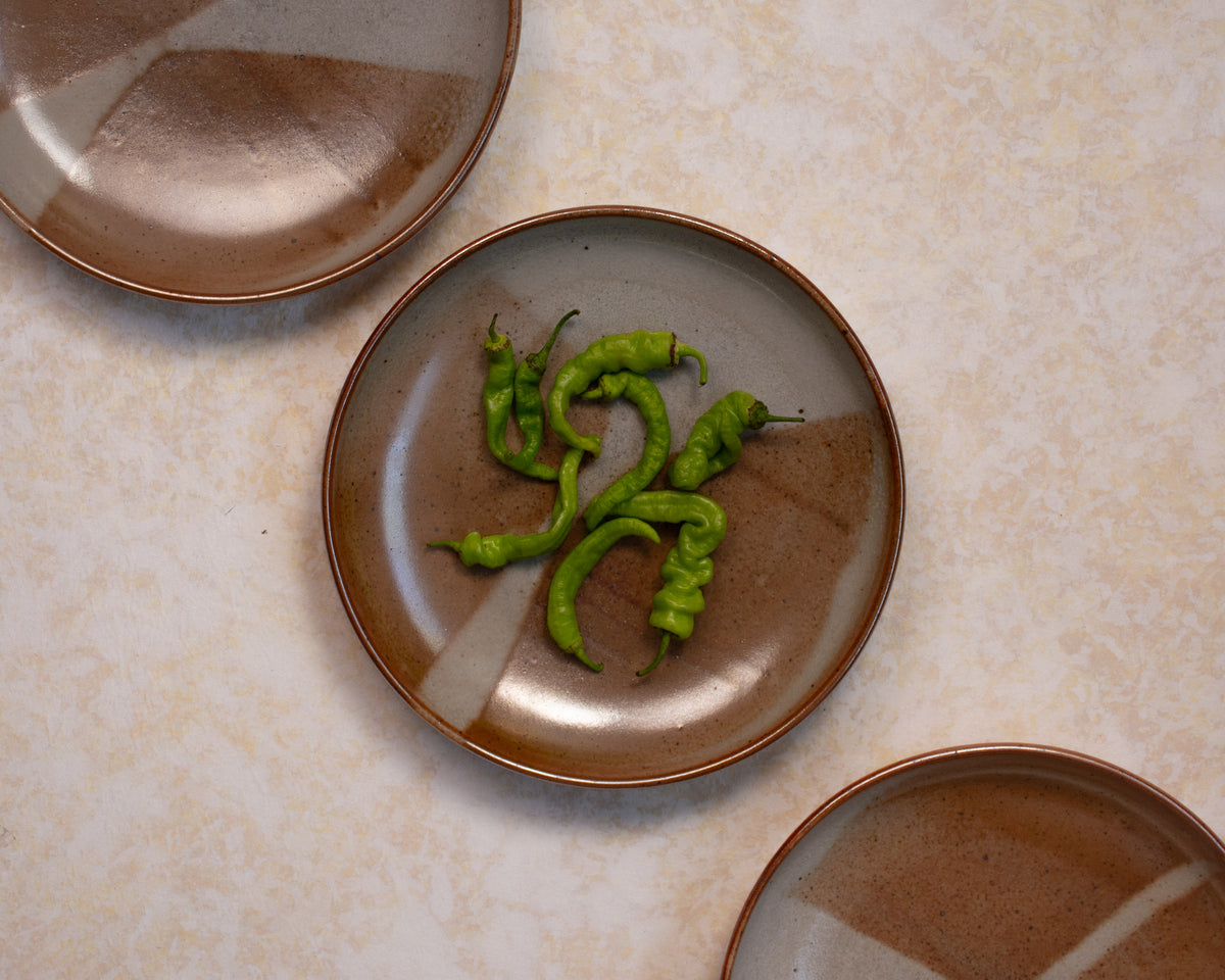 Sierra Shino